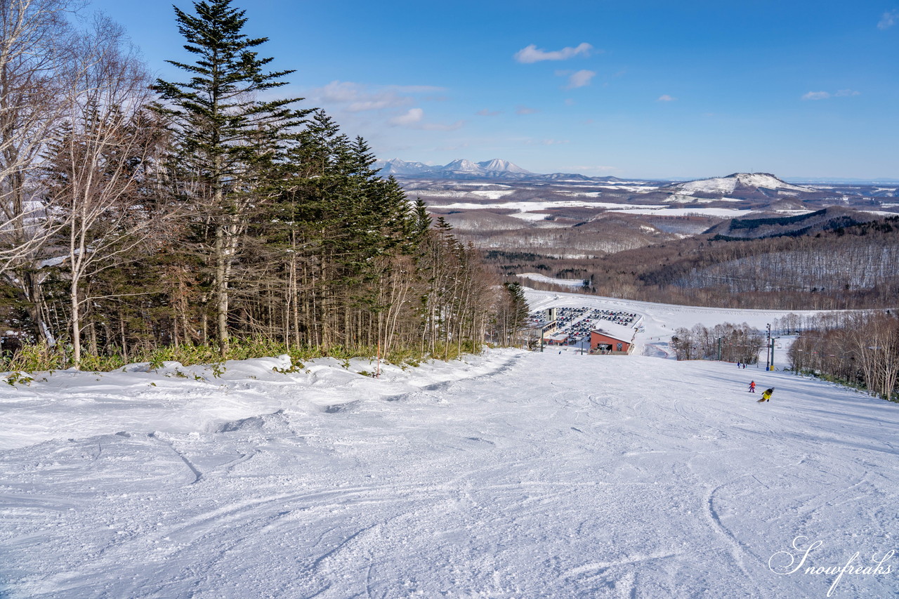 十勝サホロリゾート 快晴の空の下、極上の粉雪クルージングバーンを心ゆくまで味わう１日(*^^*)